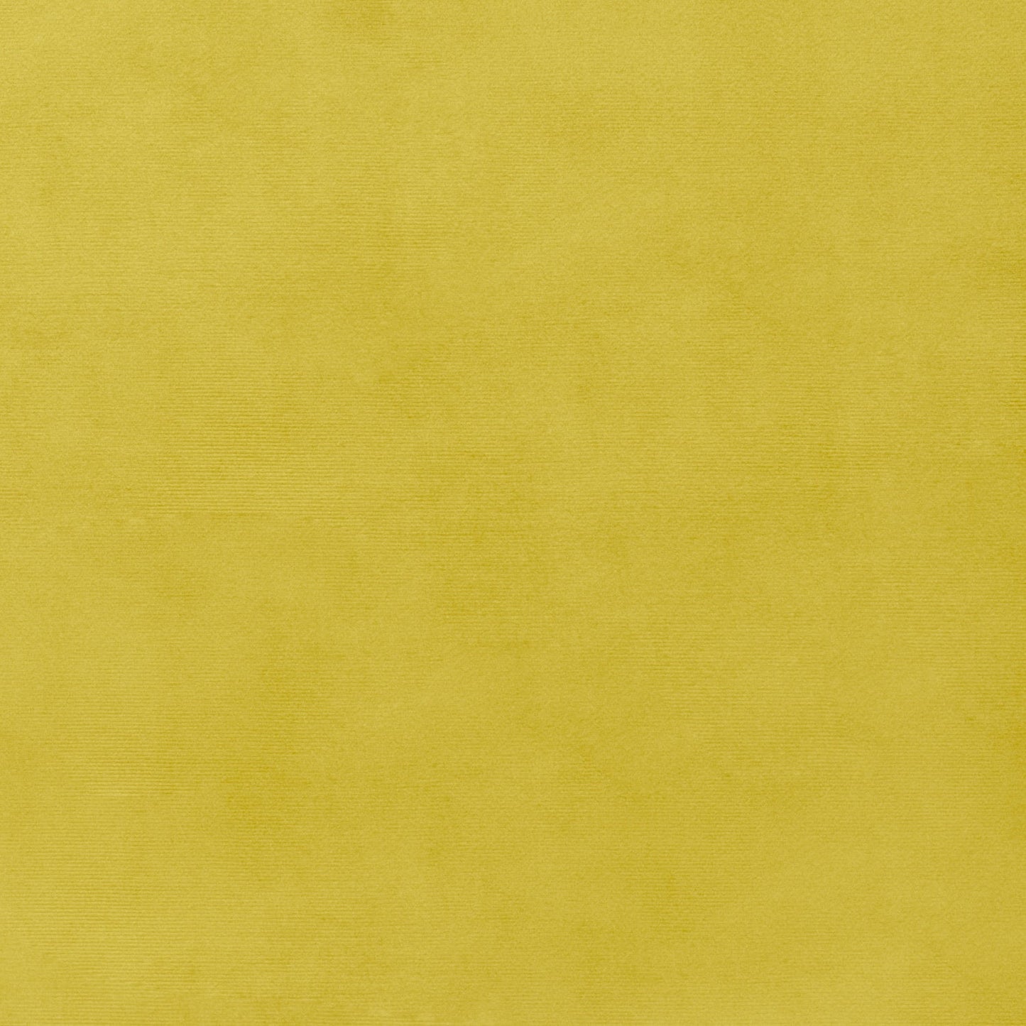 Bella Rosa Plain Velvet 140cm Honey - Ragland Fabrics