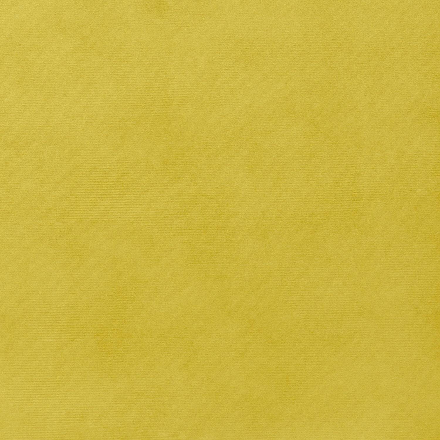 Bella Rosa Plain Velvet 140cm Honey - Ragland Fabrics