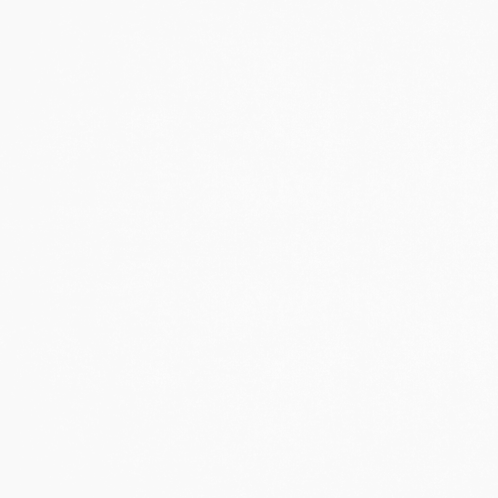 Bone Shirting / Lawn Fabric - Ragland Fabrics