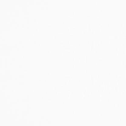 Bone Shirting / Lawn Fabric - Ragland Fabrics