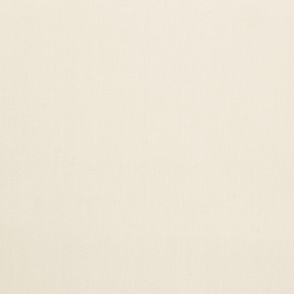 Cotton Canvas Bull Denim Natural - Ragland Fabrics