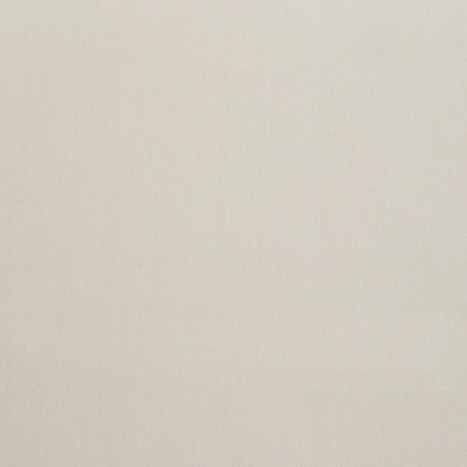 Cotton Canvas / Bull Denim Stone 9 - Ragland Fabrics