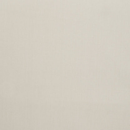 Cotton Canvas / Bull Denim Stone 9 - Ragland Fabrics