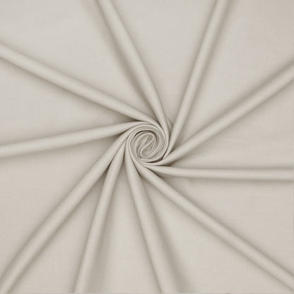 Cotton Canvas / Bull Denim Stone 9 - Ragland Fabrics