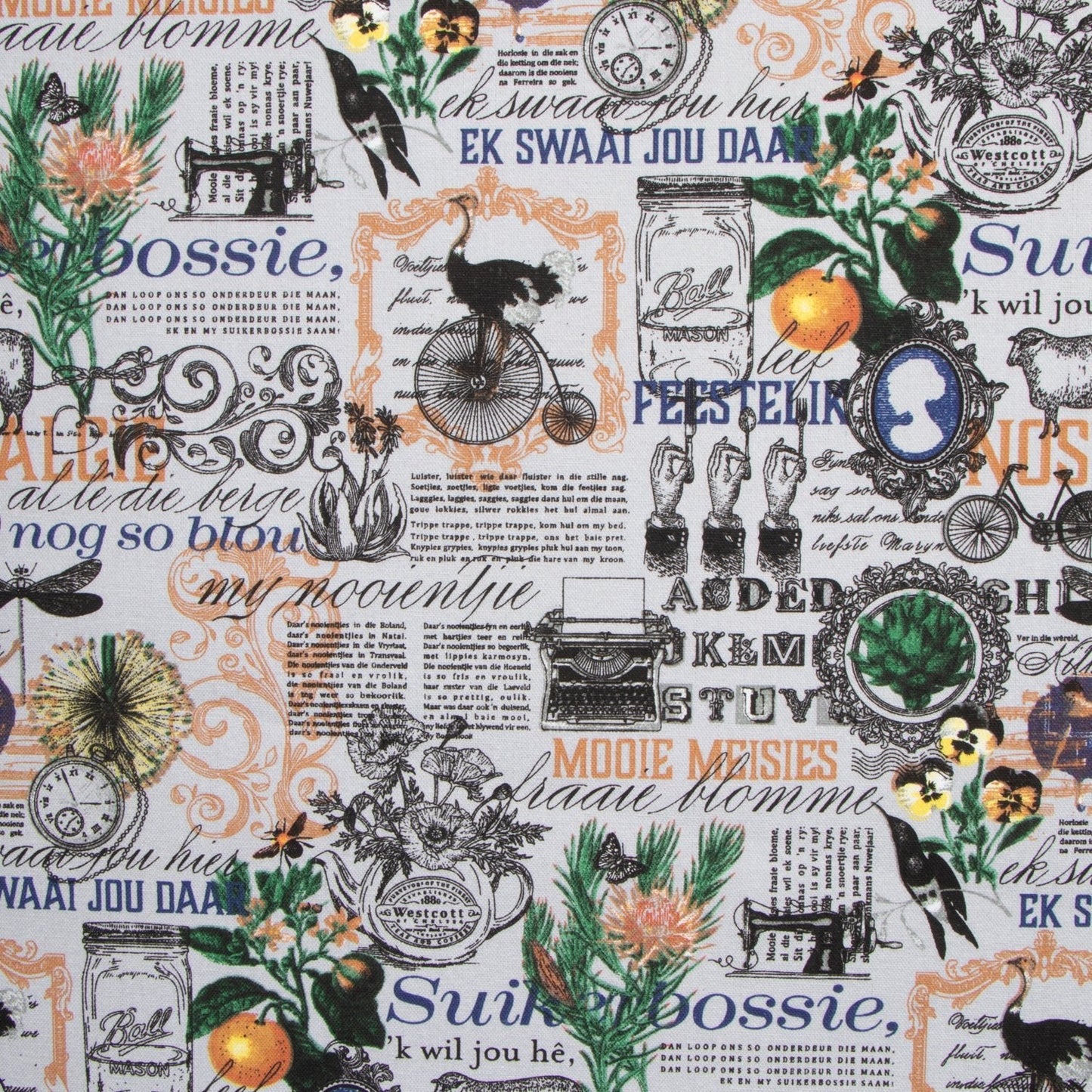 Cotton Canvas Printed Col 2 - Ragland Fabrics