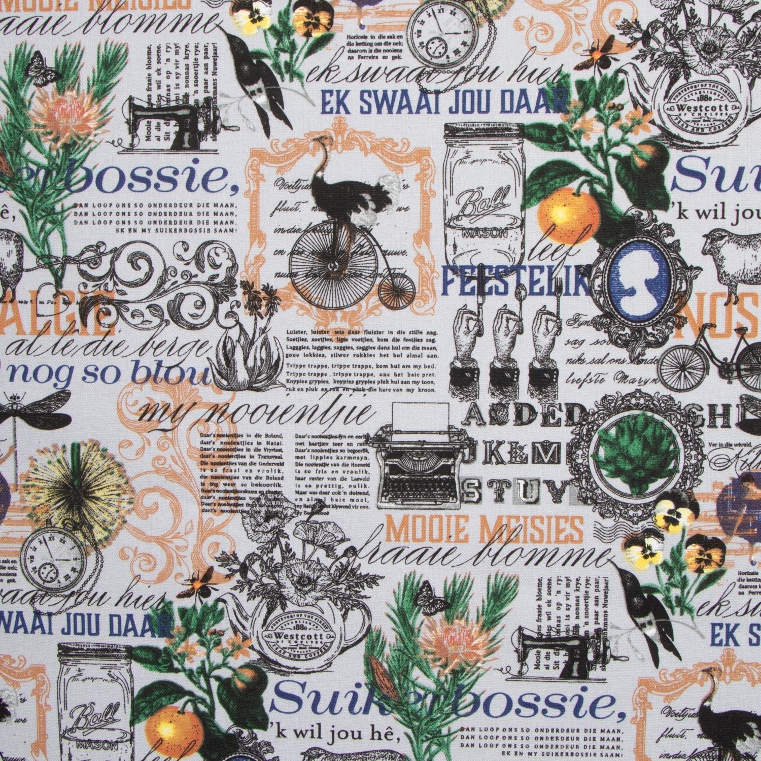 Cotton Canvas Printed Col 2 - Ragland Fabrics