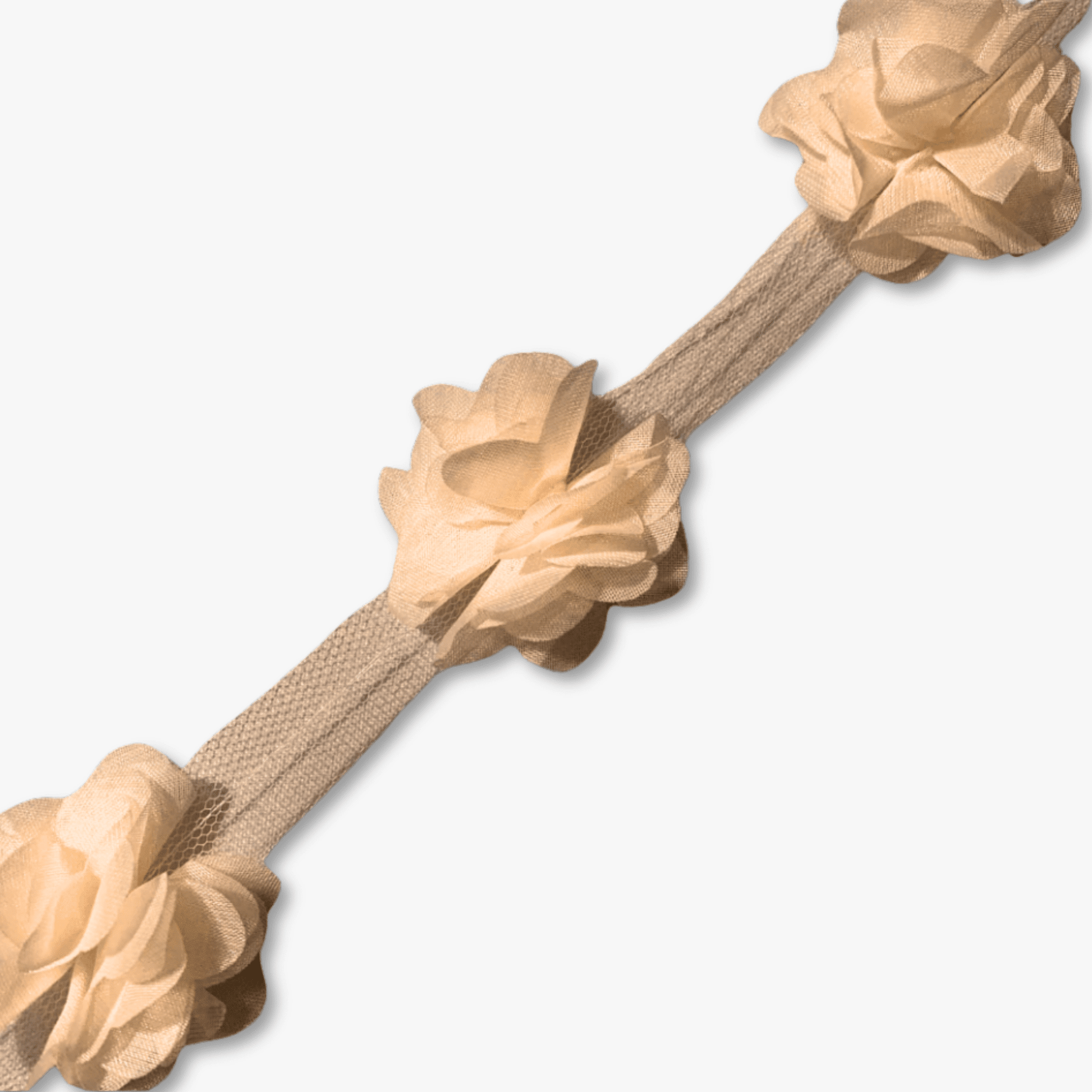 Cut Out Flower Lace - Beige 21 (Per Met) - Ragland Fabrics