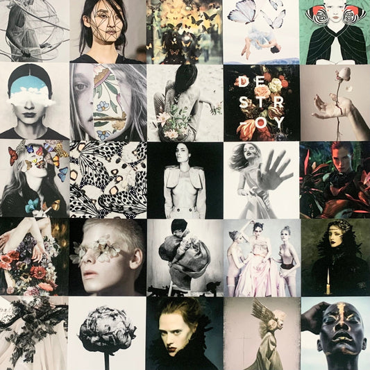 Designer Digital Poly Twill - Ragland Fabrics