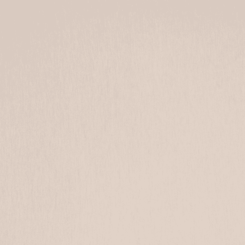 DTY Stretch Bone - Ragland Fabrics