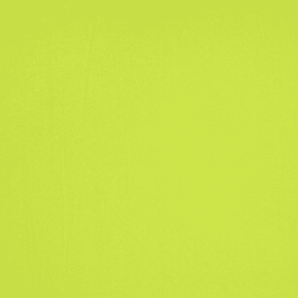 DTY Stretch Lime - Ragland Fabrics