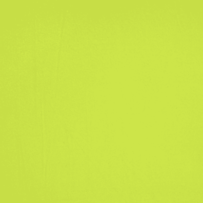 DTY Stretch Lime - Ragland Fabrics