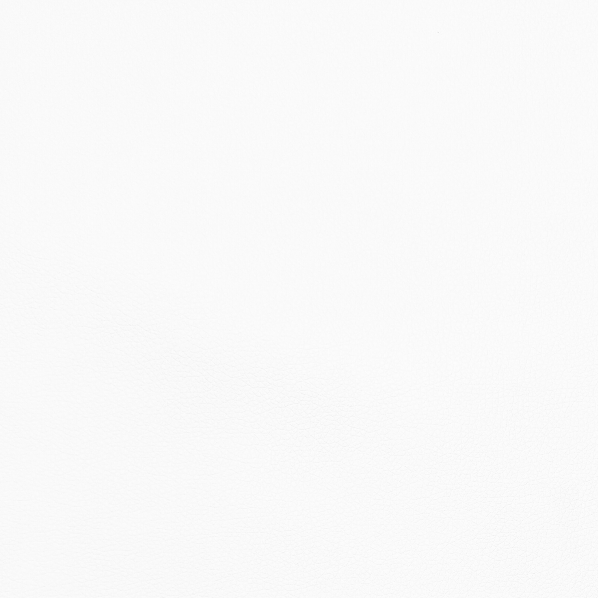 Anti Tear Vinyl White - Ragland Fabrics