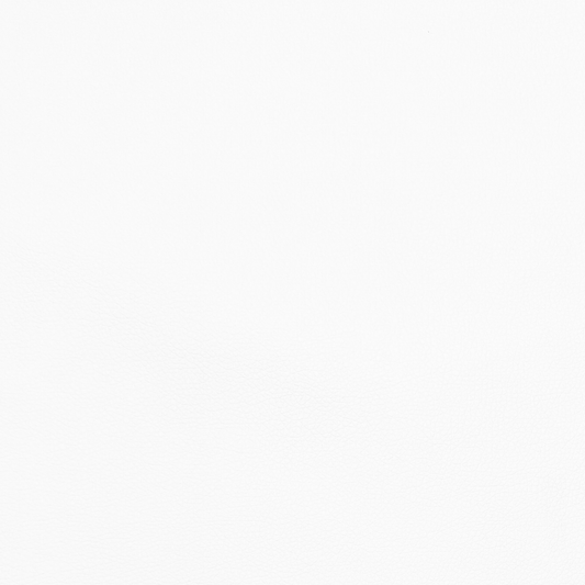 Anti Tear Vinyl White - Ragland Fabrics