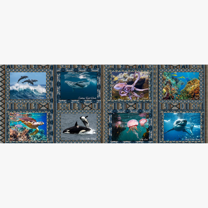 Place Mats South Africa Ocean Life