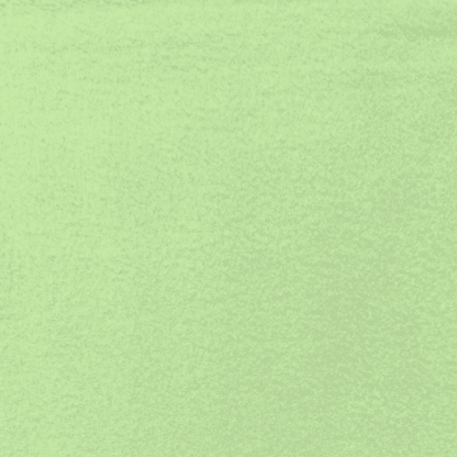 Plain Polar Fleece Light Mint 10 - Ragland Fabrics
