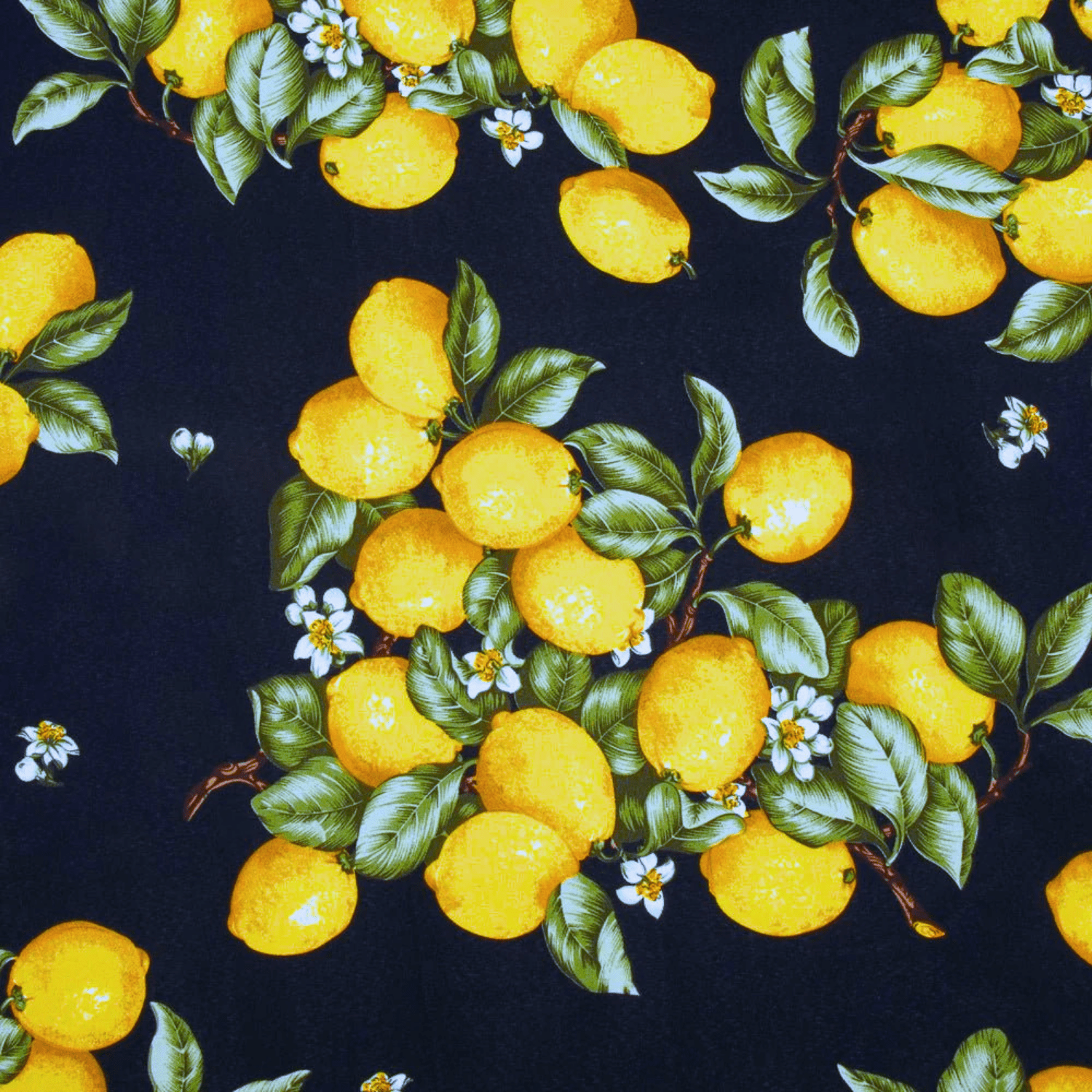 Printed Mini Matt Lemon Fruit Navy 150cm - Ragland Fabrics