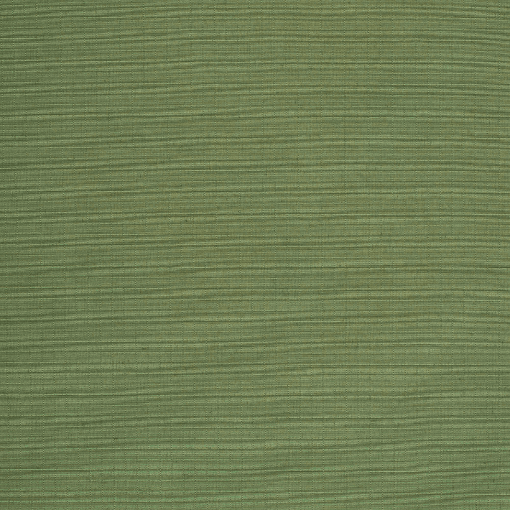 Ripstop Active Wear Green - Ragland Fabrics