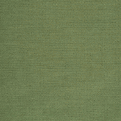 Ripstop Active Wear Green - Ragland Fabrics