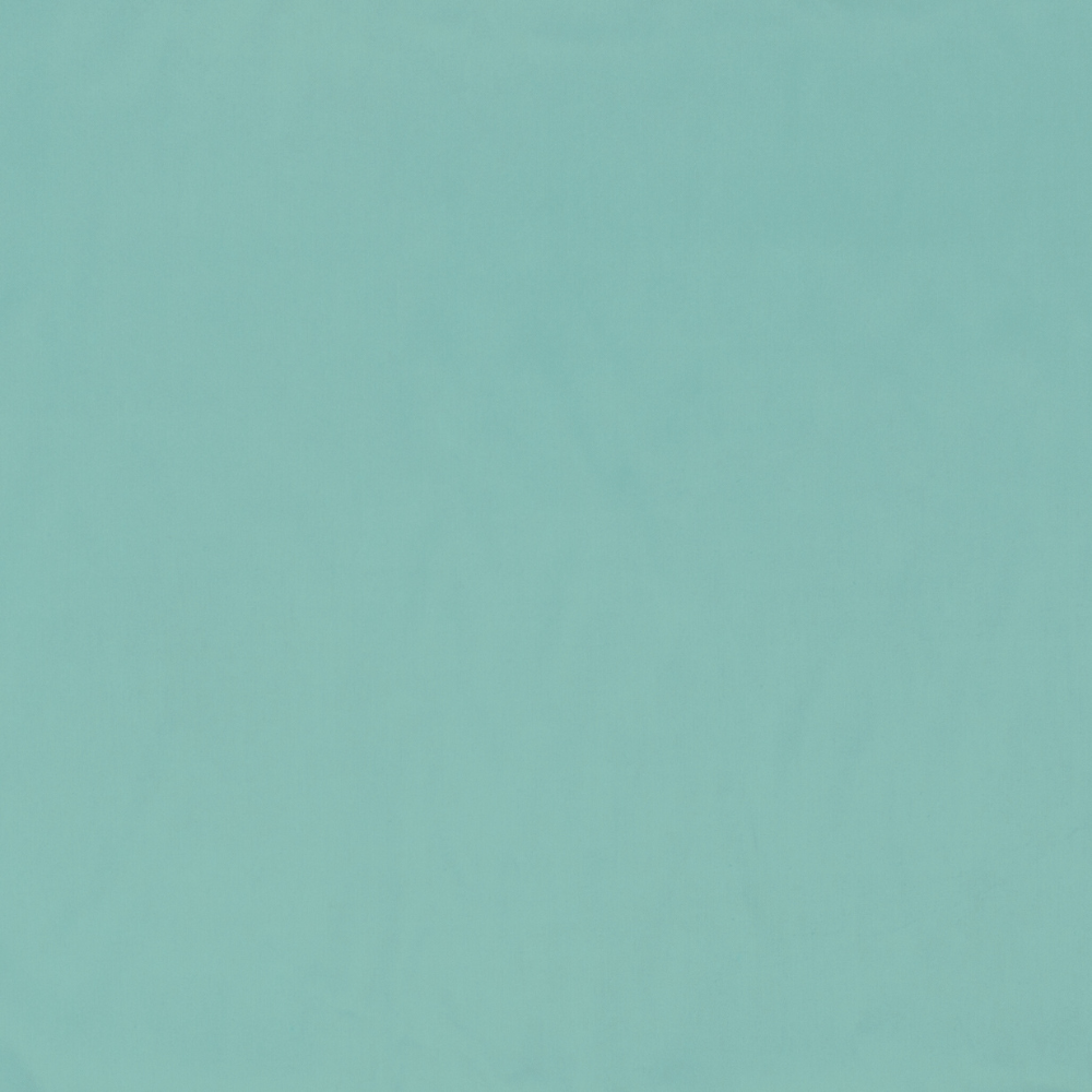 Taffeta Lining Green - Ragland Fabrics