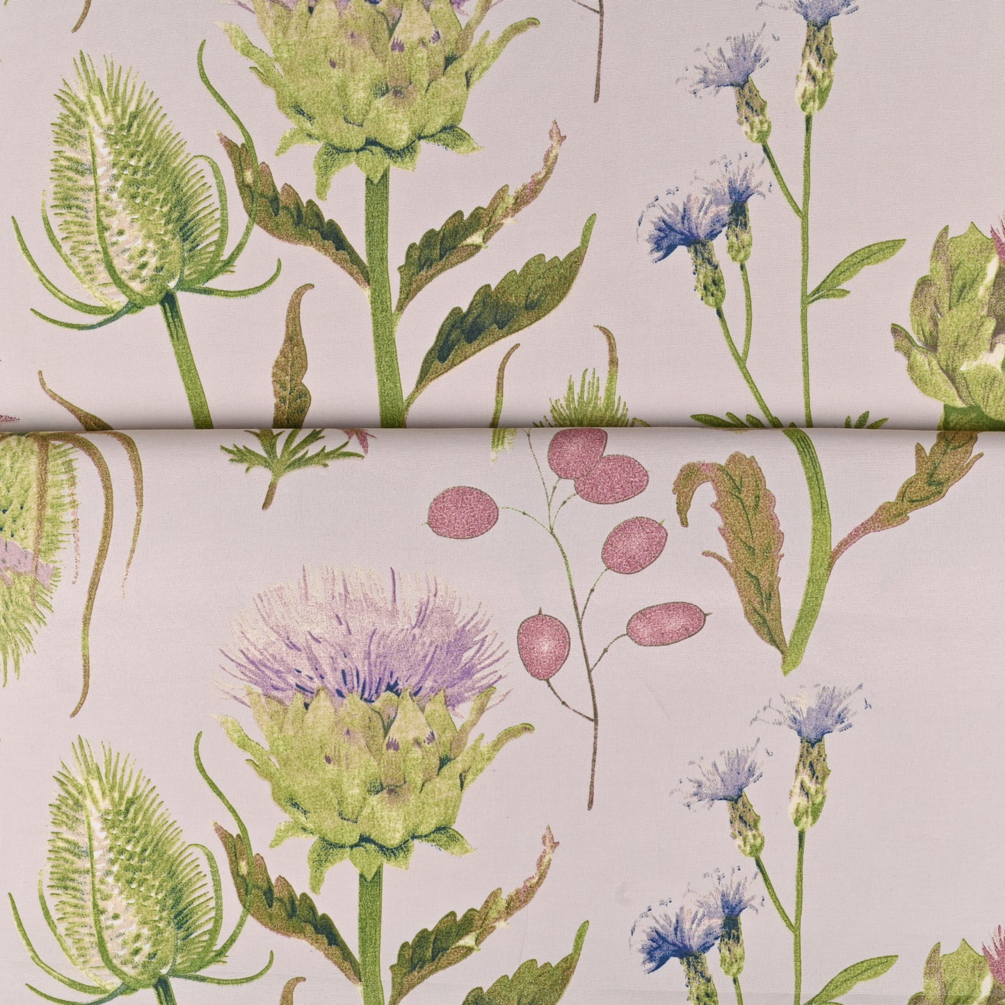 Printed Poly Cotton Thistle Garden Fig 140cm