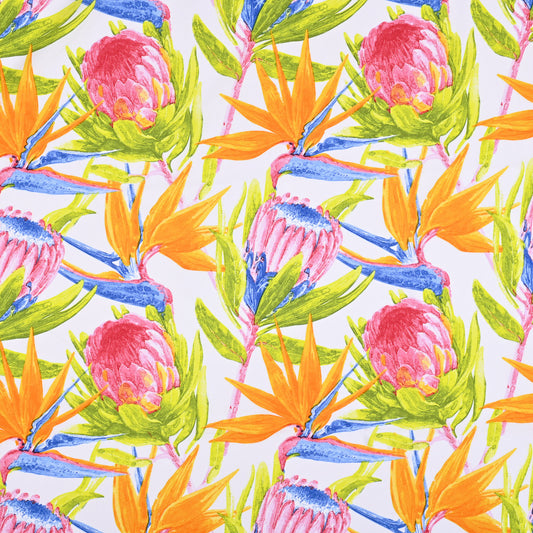 Printed Mini Matt Protea & Strelitzia White